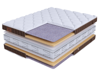 LIFE Latex S2400