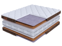 LIFE Cocos S2400