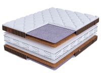 LIFE Cocos S600