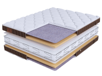 LIFE Latex S600