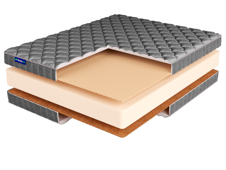 ROLL FOAM 18 Balance LUX