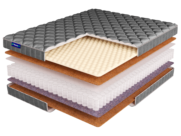 Roll SPRING Cocos Light S600 LUX