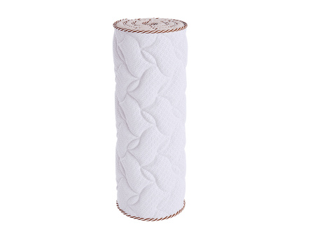 ROLL FOAM 10 Massage LUX