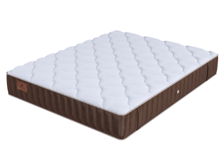 LIFE Latex Double S2400